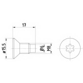 Болт, диск тормозного механизма TEXTAR 96981 0004 0 2 / TPM0004