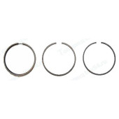 Кольца поршневые (79,0) ВАЗ 2101 <b>TRUCKMAN 21011-1000100</b>